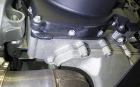 APRILIA TUONO V4 1100 2018