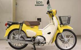 HONDA C110 SUPER CUB 2016 JA59