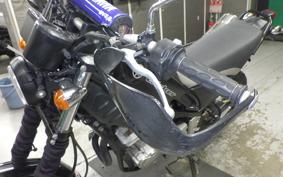 YAMAHA TRICKER DG10J