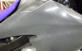 YAMAHA WR250X 2023 DG15J