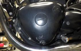 KAWASAKI W800 STREET 2019 EJ800B