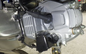 HONDA MONKEY 125 2024 JB02