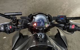 KAWASAKI Z900 2019 ZR900B