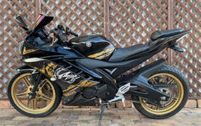 YAMAHA YZF-R15 RG06
