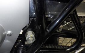 KAWASAKI 250A1 2006 A1