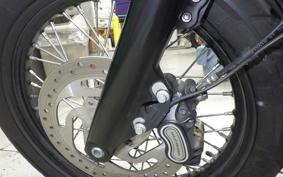 HARLEY FXBB1750 2019