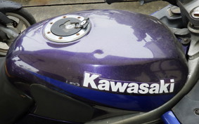 KAWASAKI ZZ-R250 EX250H