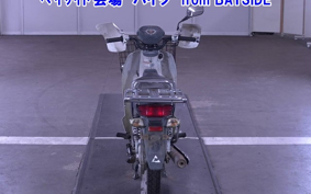 OTHER C110PU LOW 2