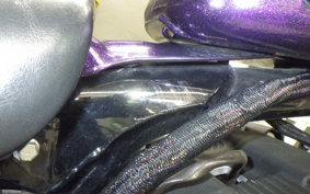 HARLEY XL883N 2015