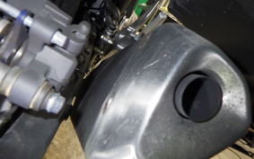HONDA NC750X DCT 2024 RH09