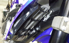 YAMAHA WR250X 2023 DG15J