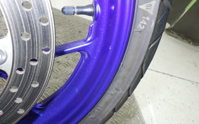 YAMAHA YZF-R25 RG43J
