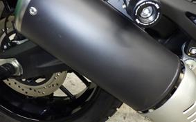 DUCATI SCRAMBLER ICON 2024