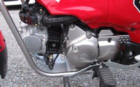 HONDA CT125 HUNTER CUB JA55