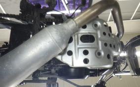 YAMAHA TW200 Gen.2 DG07J