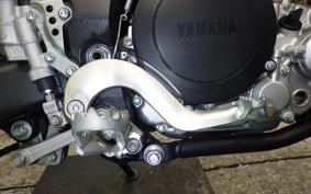 YAMAHA WR250X 2023 DG15J