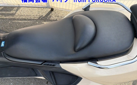 YAMAHA MAXAM 250