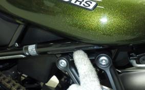 KAWASAKI Z900RS 2019 ZR900C