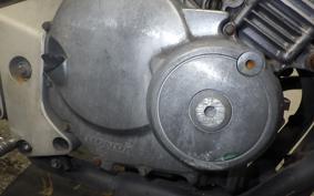 HONDA HORNET 250 MC31