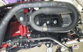 HONDA DAX 125 2019 JB04