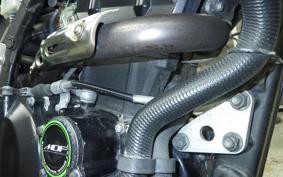 KAWASAKI KLX250D TRACKER X 2019 LX250V