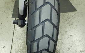 DUCATI SCRAMBLER 1100 2019