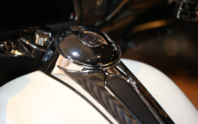 HARLEY FLHTCUTG SE CVO 2019 TBH