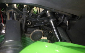KAWASAKI NINJA 250 2018 EX250L