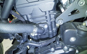 YAMAHA MT-25 A RG43J