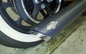 HARLEY XL1200NS 2019