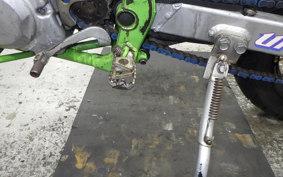 KAWASAKI KDX250SR 2012 DX250F