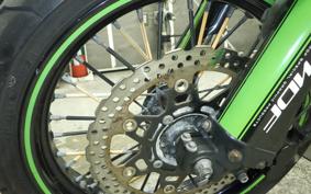 KAWASAKI KLX250D TRACKER X 2019 LX250V