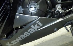 KAWASAKI NINJA 250 ABS 2020 EX250L