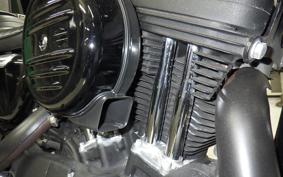 HARLEY XL1200NS 2020