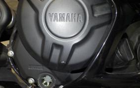 YAMAHA YZF-R25 2008 RG43J