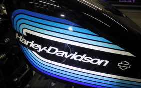 HARLEY XL1200NS 2018