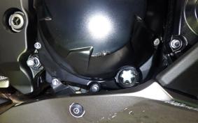 KAWASAKI NINJA 1000SX 2024 ZXT02K
