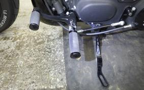 HARLEY XL1200NS 2020