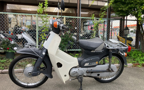 HONDA SUPER CUB50 C50