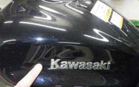 KAWASAKI NINJA 1000SX 2024 ZXT02K