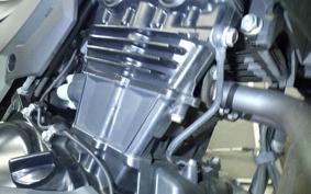 KAWASAKI VERSYS 250 A LE250D