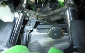 KAWASAKI NINJA 250 EX250L