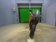 Фото Kawasaki NINJA 400 2014 с японского аукциона