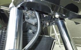 HONDA HORNET 250 MC31