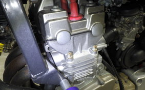 HONDA HORNET 250 1996 MC31