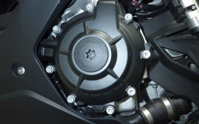 BMW S1000RR M DDC 2024