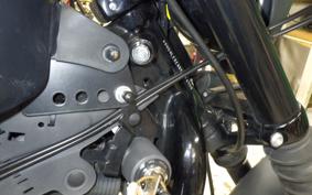 HARLEY XL883N 2015