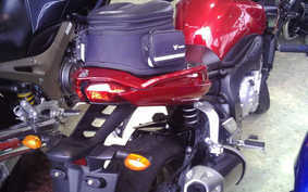 YAMAHA FZ1 FAZER 2010 RN21J