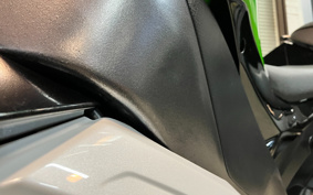 KAWASAKI NINJA ZX-10R 2013 ZXCE11