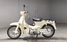 HONDA LITTLE CUB C50
